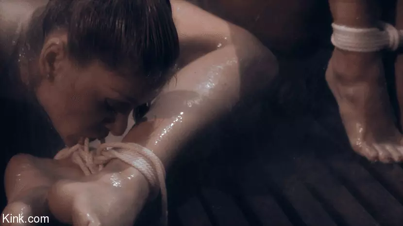 Phoenix Marie,Lea Lexis,Chanel Preston,Bobbi Starr